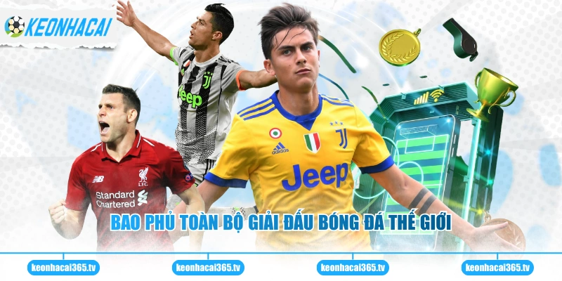 Bao phủ toàn bộ giải đấu bóng đá thế giới