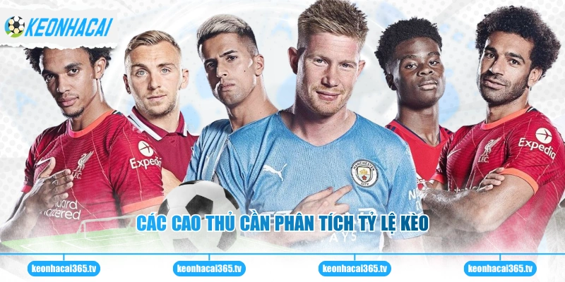 Các cao thủ cần phân tích tỷ lệ kèo