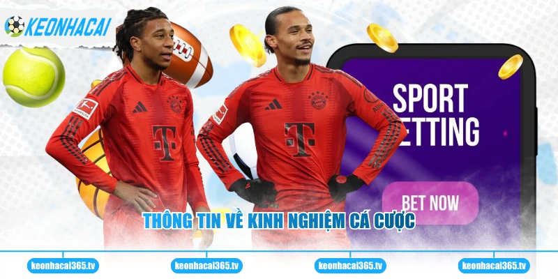 Thông tin về kinh nghiệm cá cược