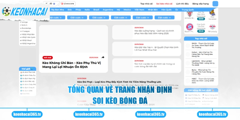 Tổng quan về trang nhận định soi kèo bóng đá