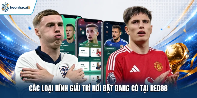 Các loại hình giải trí nổi bật đang có tại RED88 